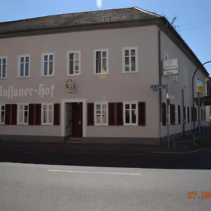 Hotel Nassauer Hof, Frankfurt am Main